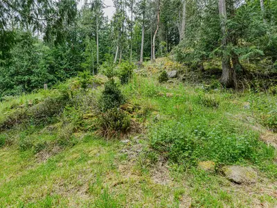 View 23