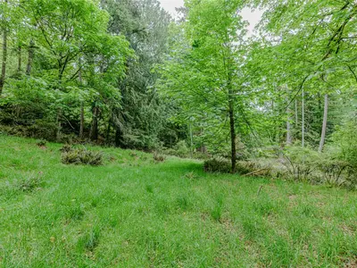 View 46