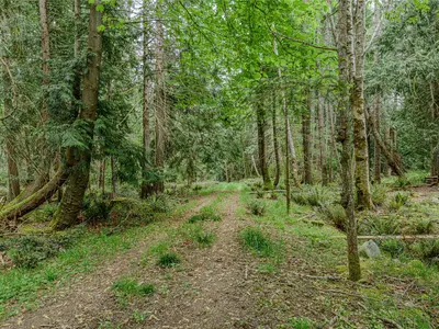 View 26