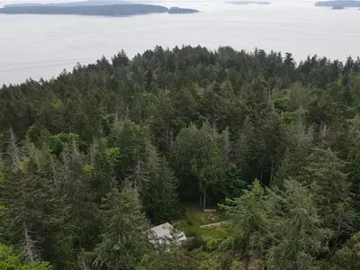 View 51
