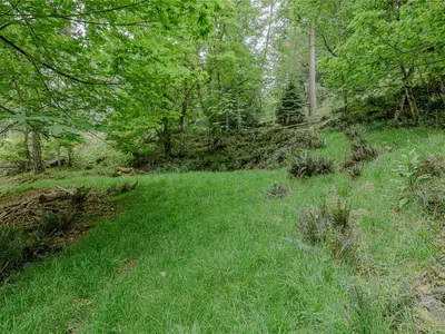 View 44