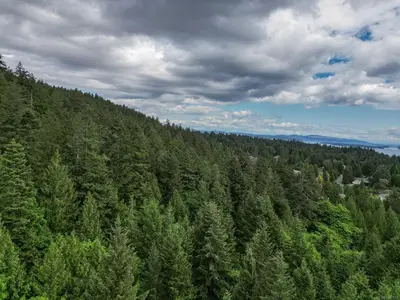 View 13