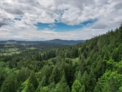 View 17