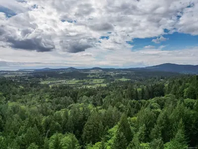 View 16
