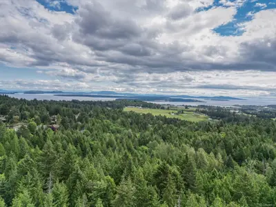 View 15