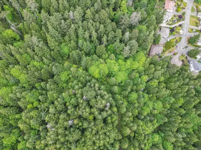 View 11