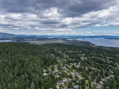 View 21