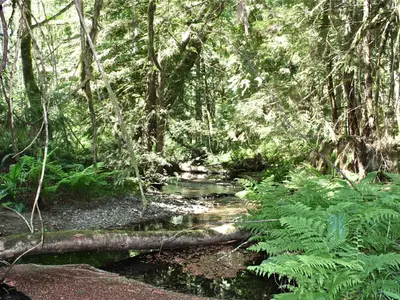 View 23