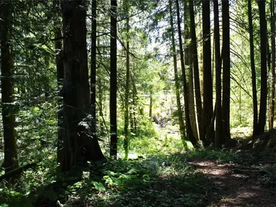 View 26