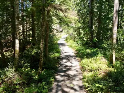View 28