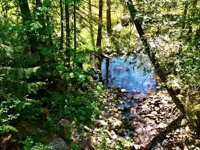 View 20