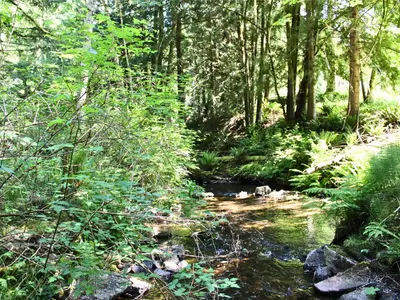 View 49
