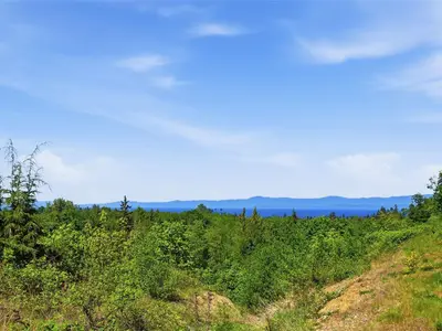 View 46