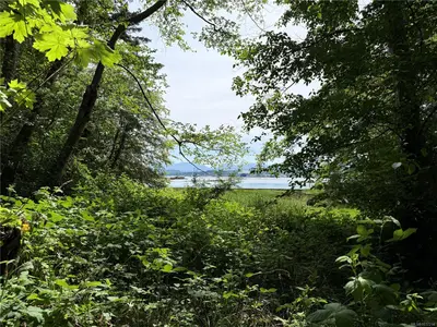 View 17