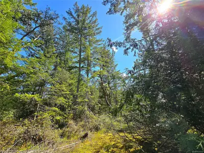 View 29