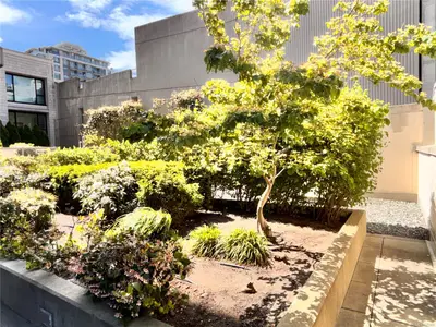 View 22