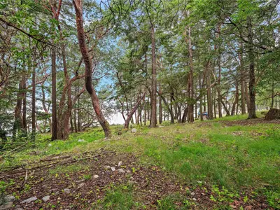 View 27
