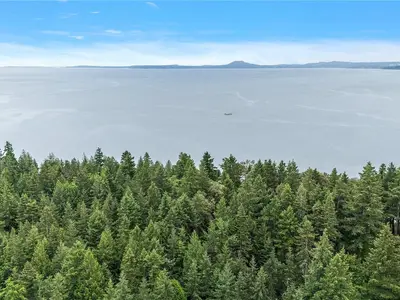 View 17