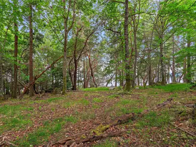 View 26
