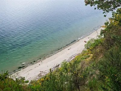 View 5