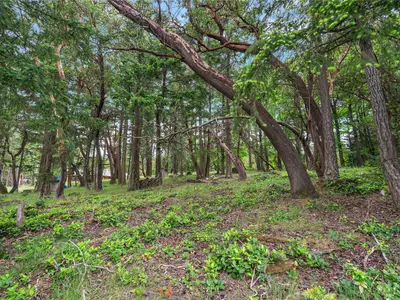 View 24