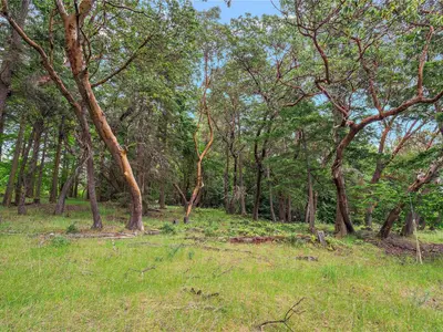 View 15