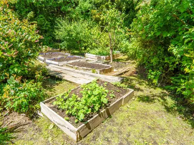 View 37