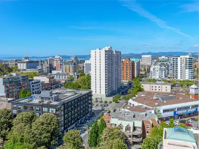 View 25