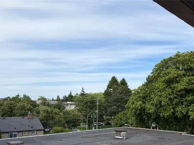 View 24