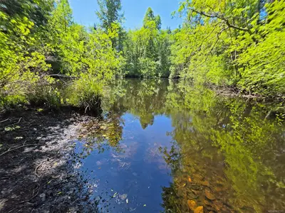 View 31