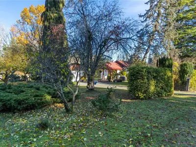 View 41
