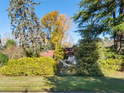 View 39