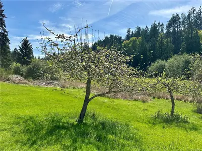 View 31
