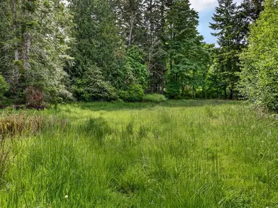 View 29
