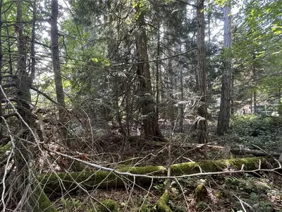 View 6