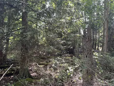 View 7