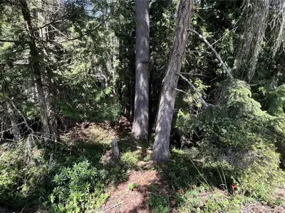 View 4