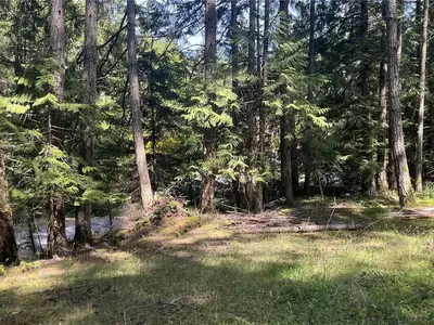 View 6