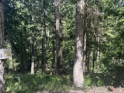 View 1
