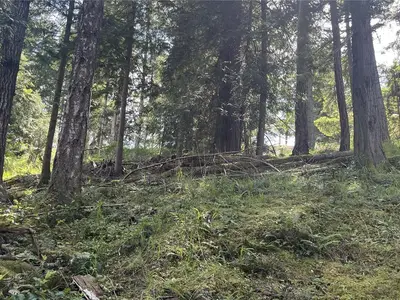 View 10
