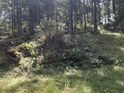 View 8