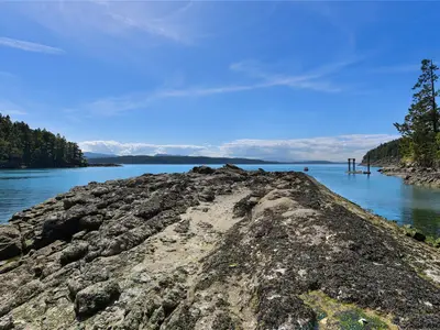 View 53