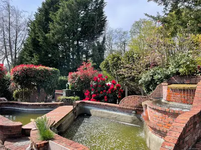 View 56