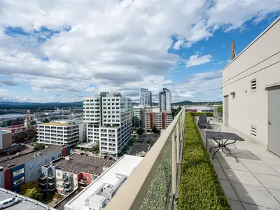 View 15