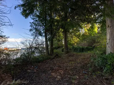 View 15