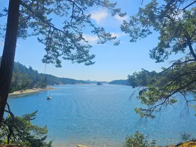 View 3