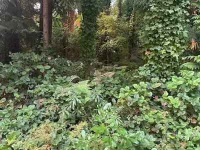 View 1
