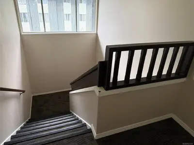 View 15
