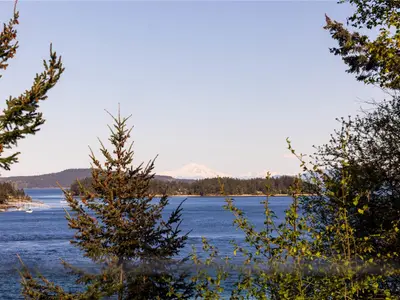 View 31
