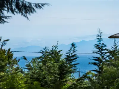 View 2